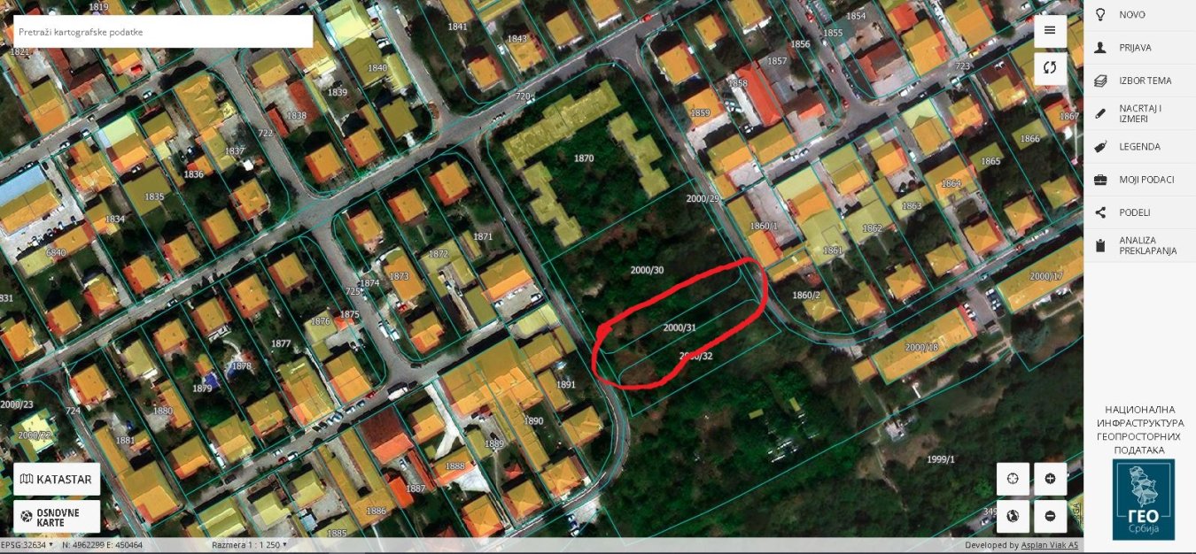 уличица.JPG