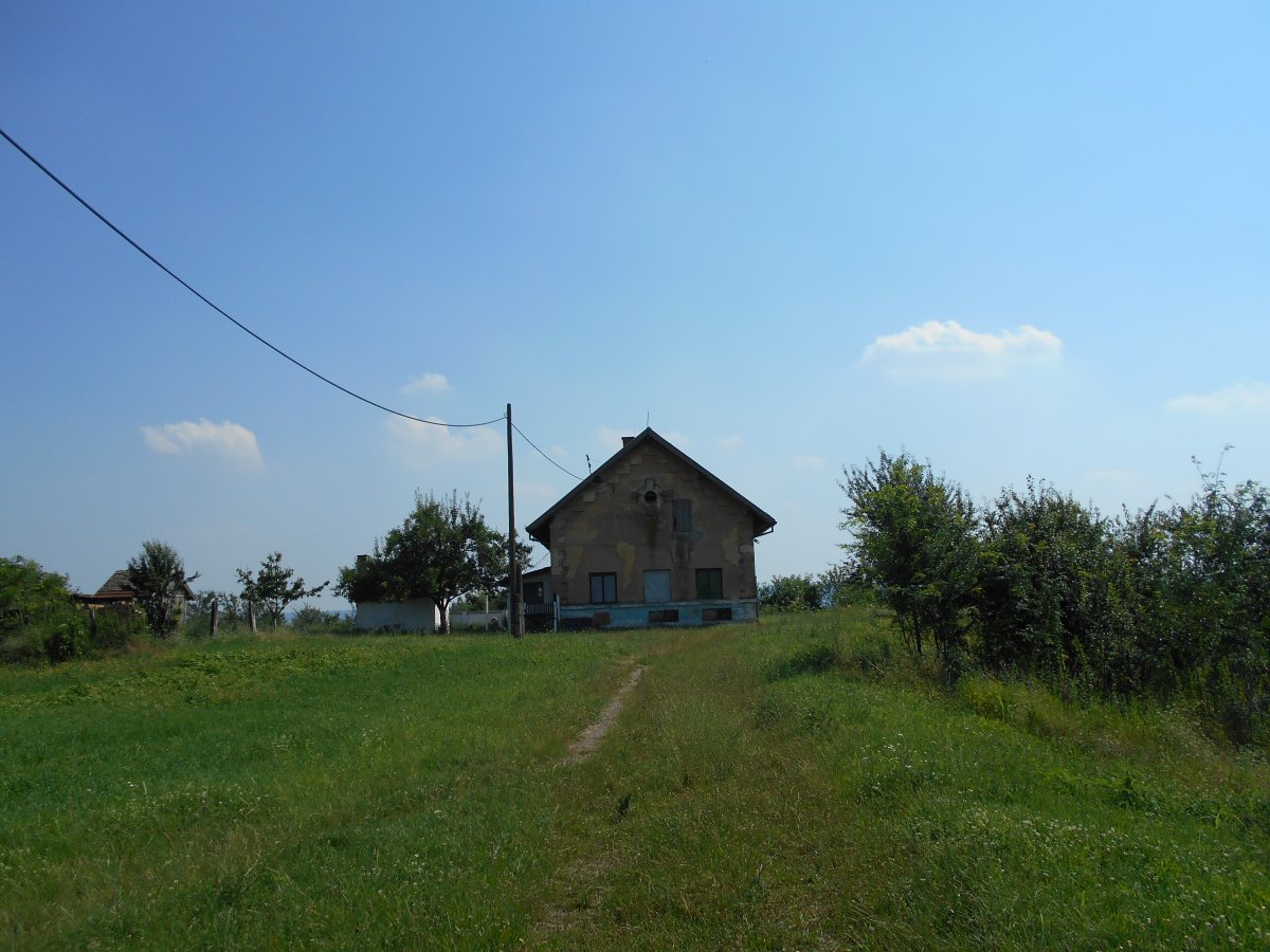 030.jpg