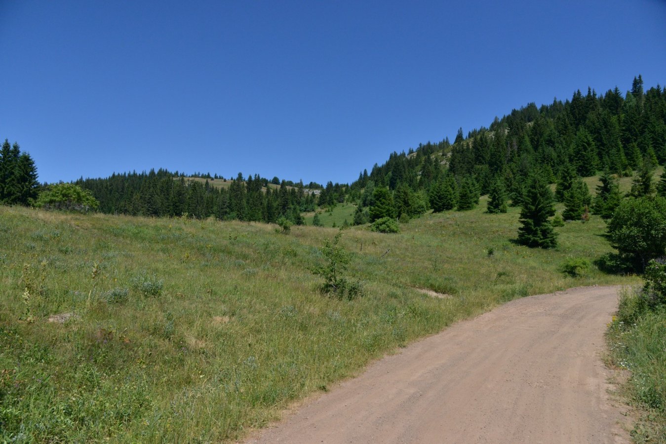 05.jpg