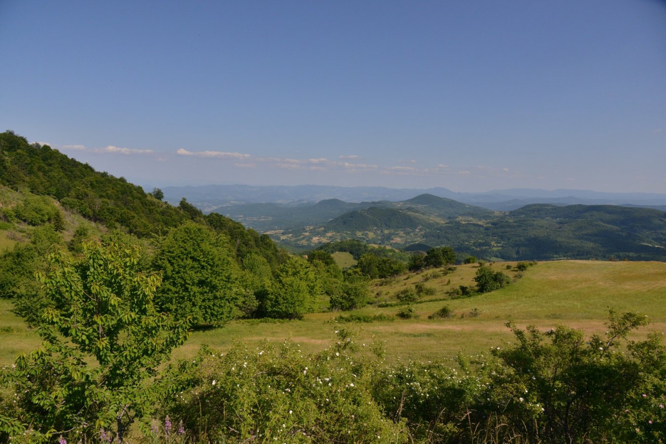 07.jpg