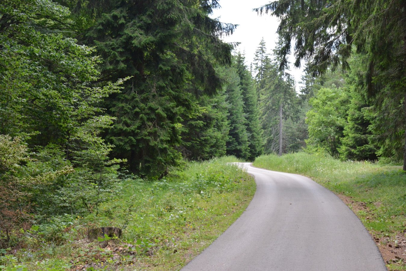 07.jpg
