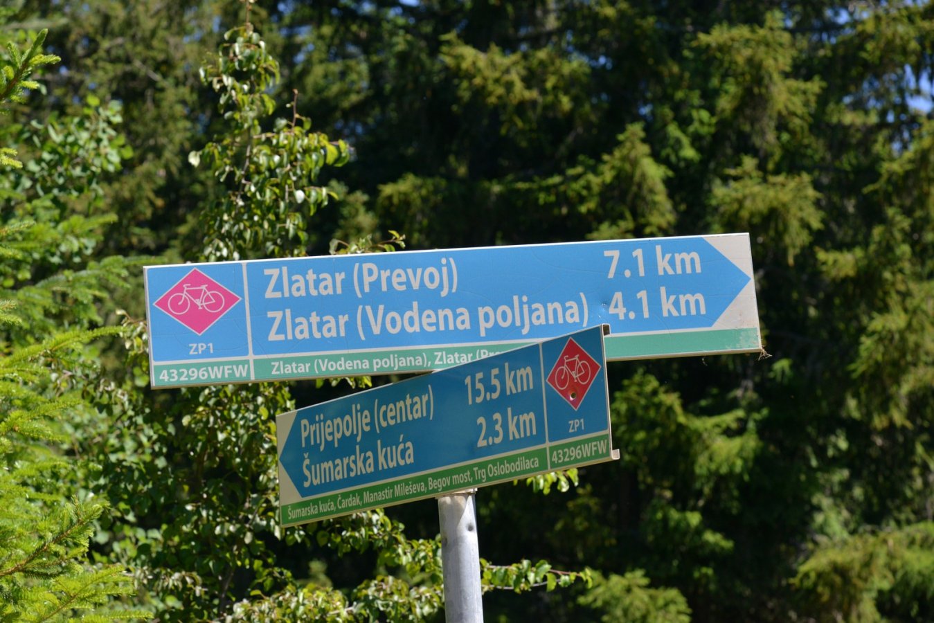 07.jpg
