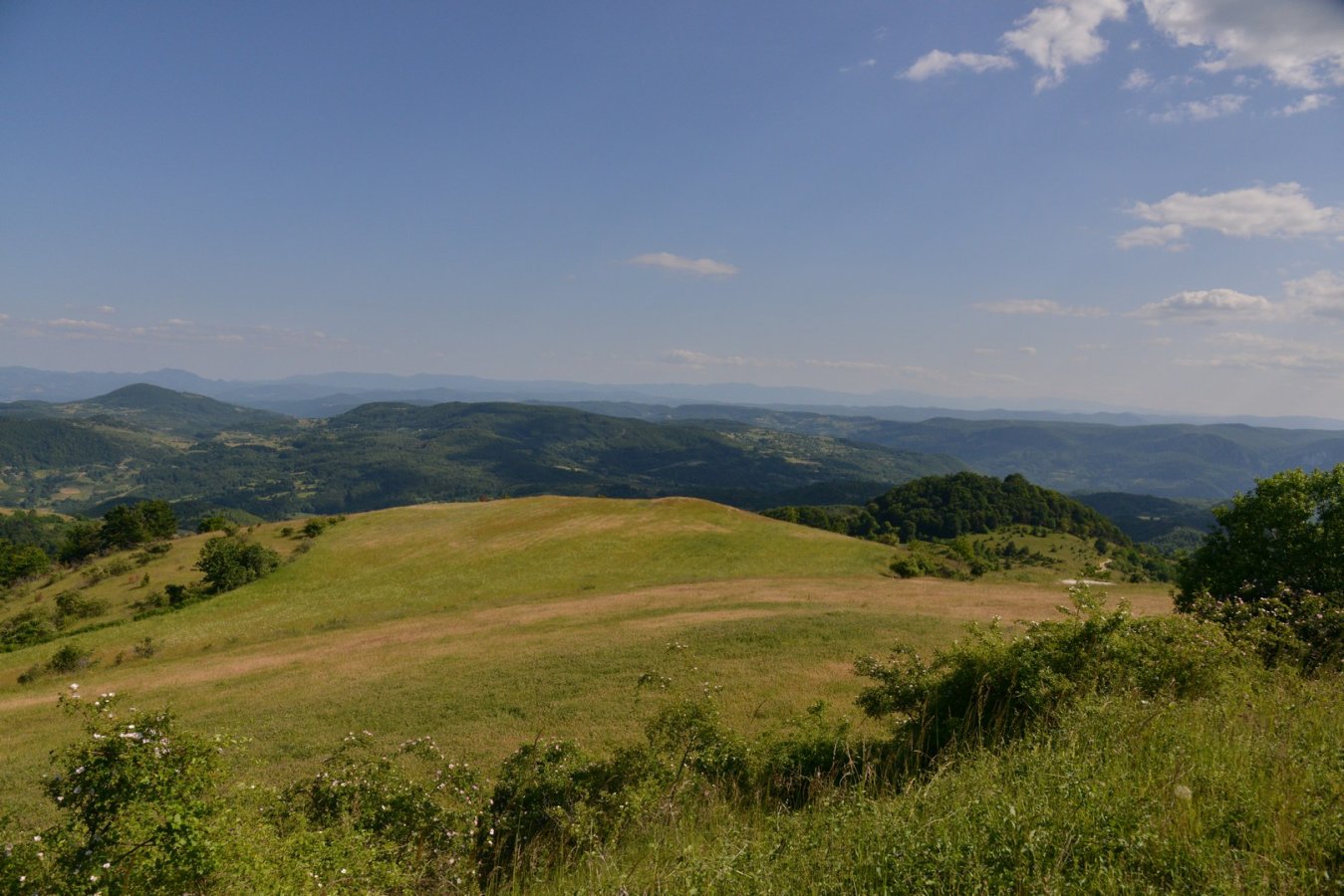 08.jpg