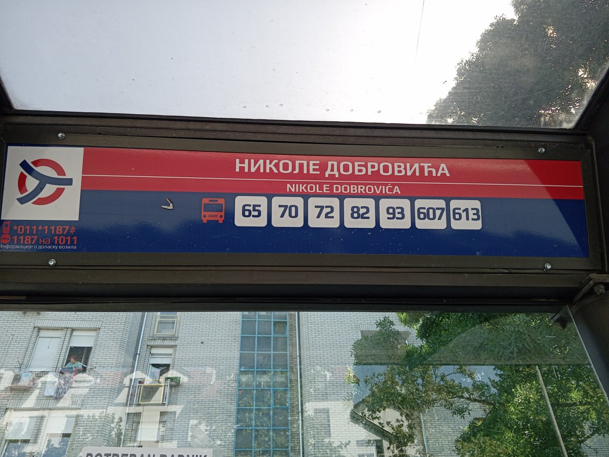 1000009679.jpg