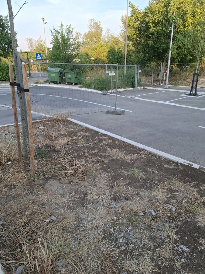 1000015630.jpg