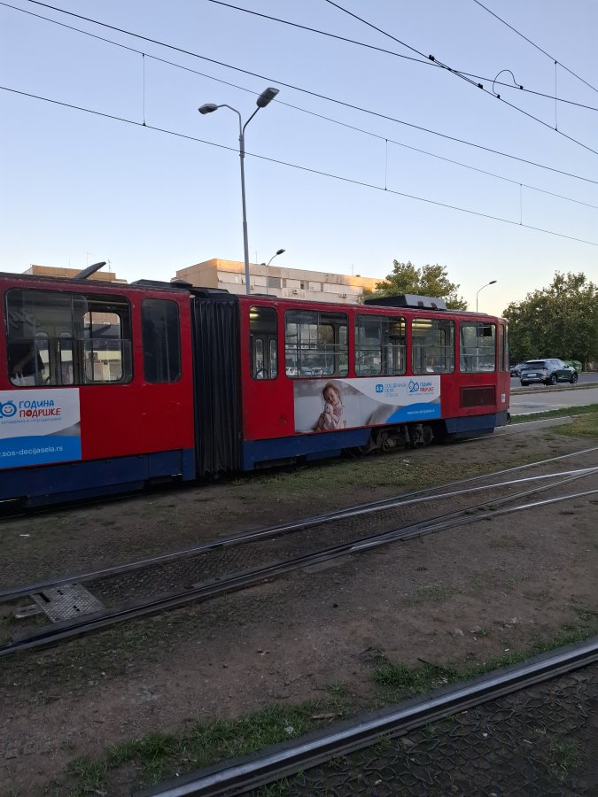 1000016322.jpg