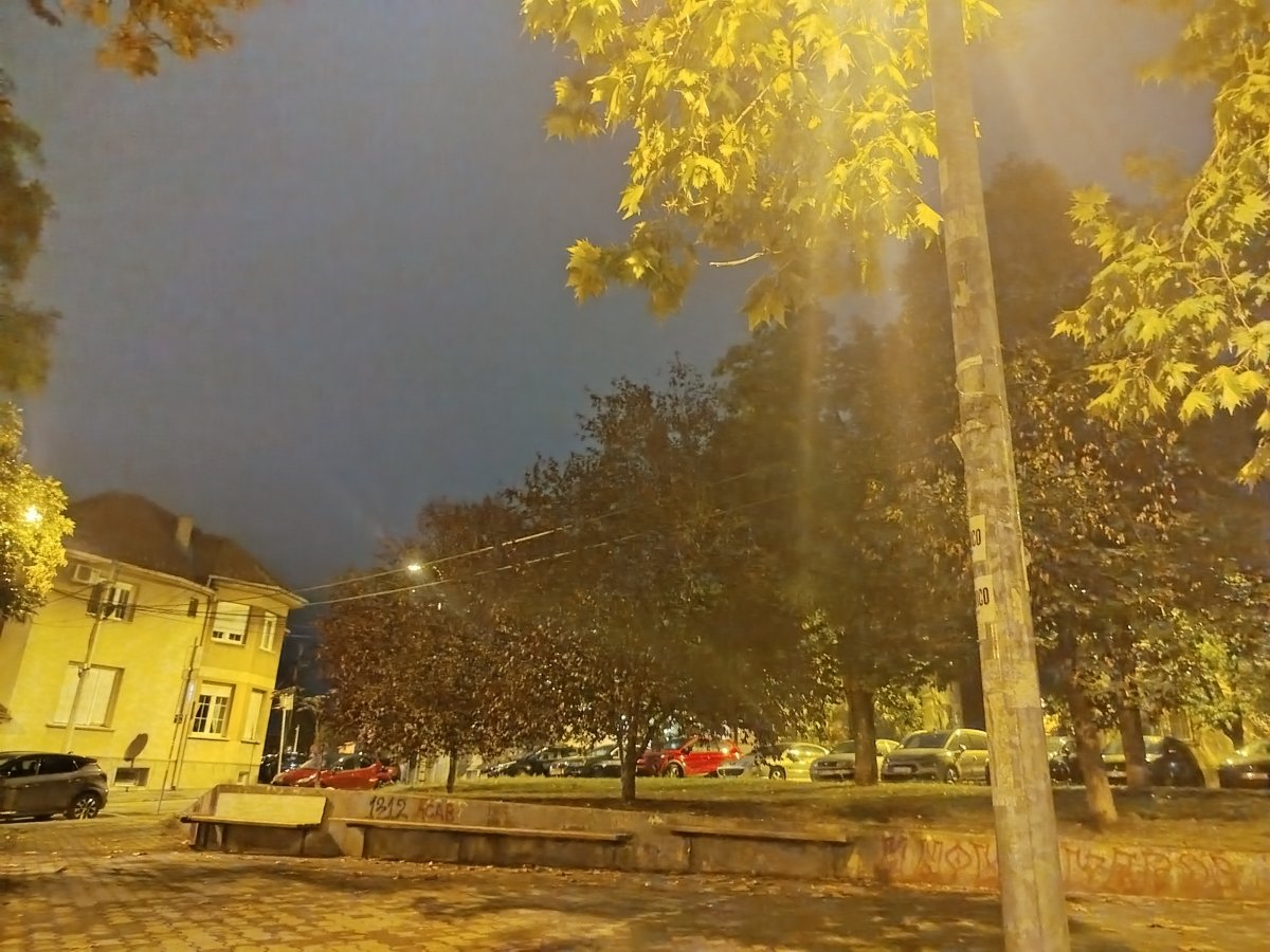 1000022029.jpg