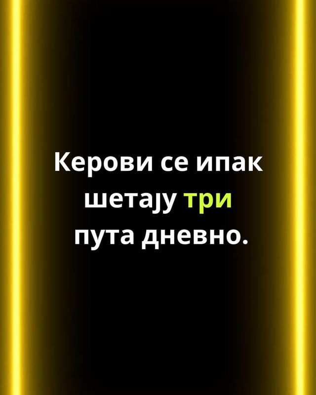 1000044442.jpg