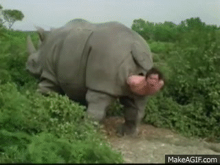 1000047439.gif
