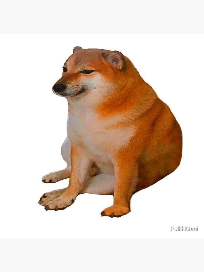 1000049550.jpg
