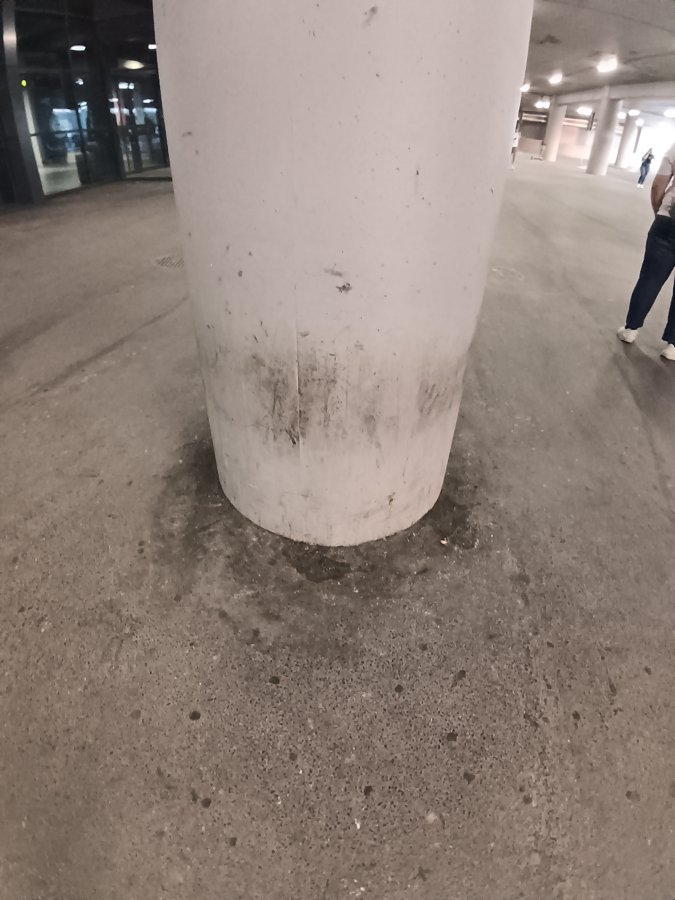 1000051775.jpg