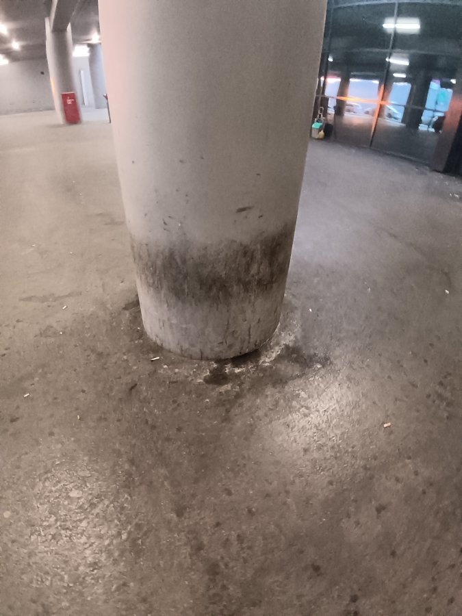 1000051776.jpg