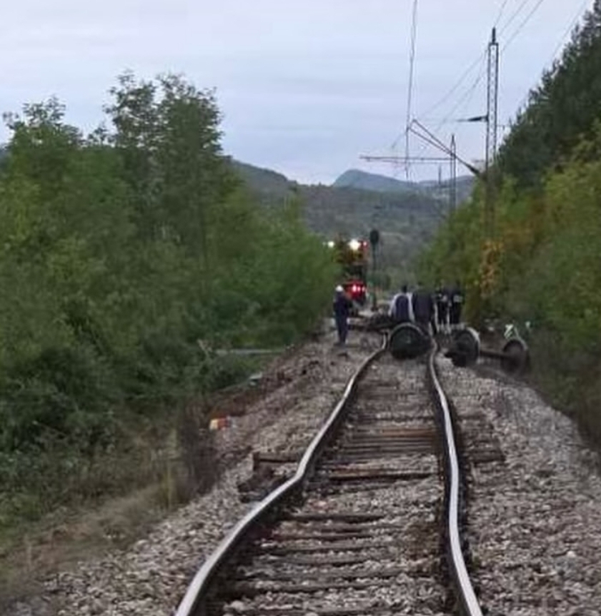 1000064073.jpg