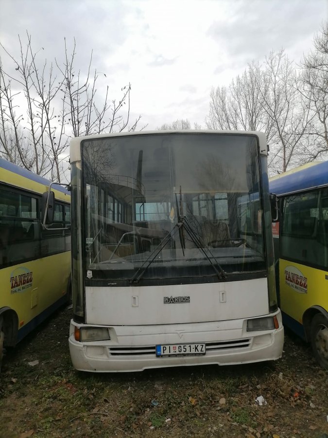 1000064288.jpg