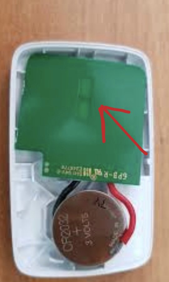 1000094780.jpg