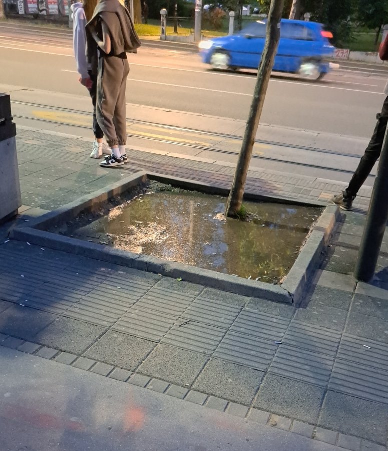 1000295113.jpg
