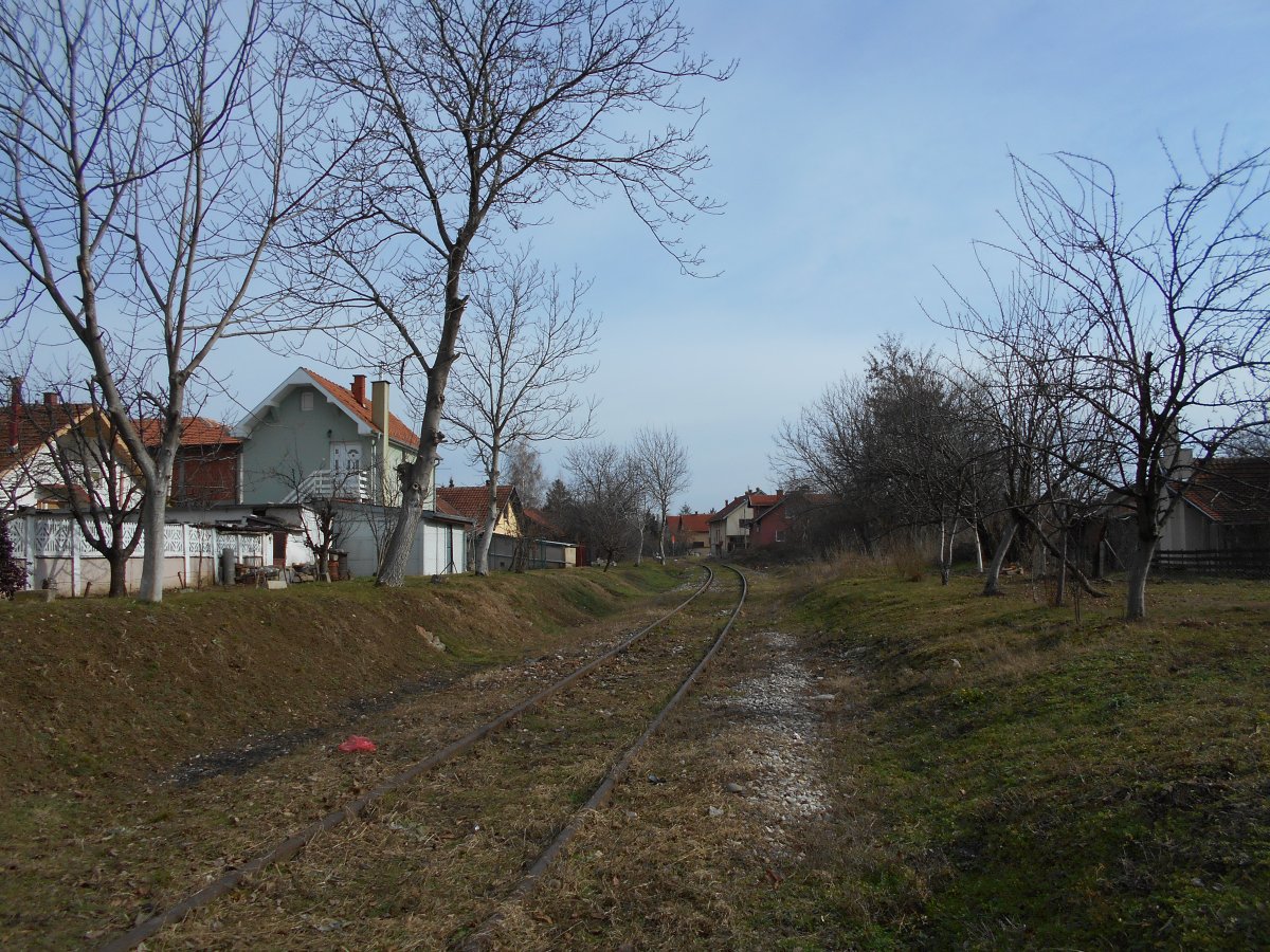 1179.jpg