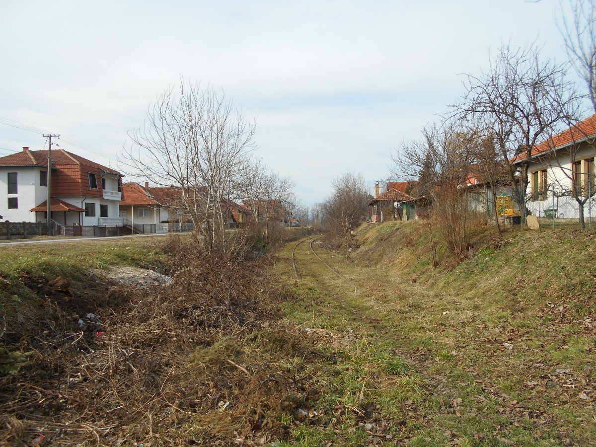 1180.jpg