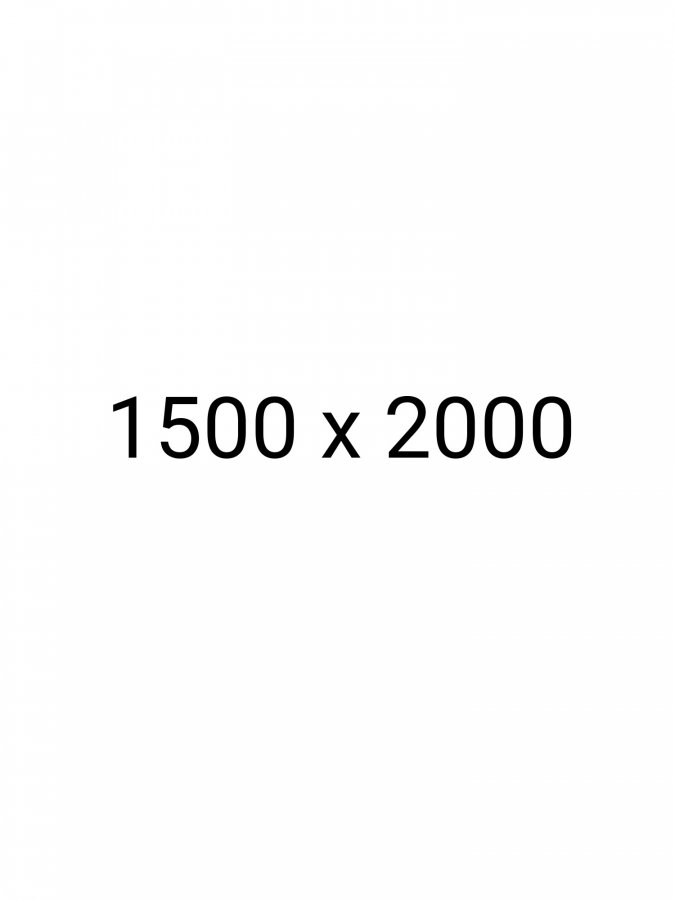 1500 x 2000.jpg