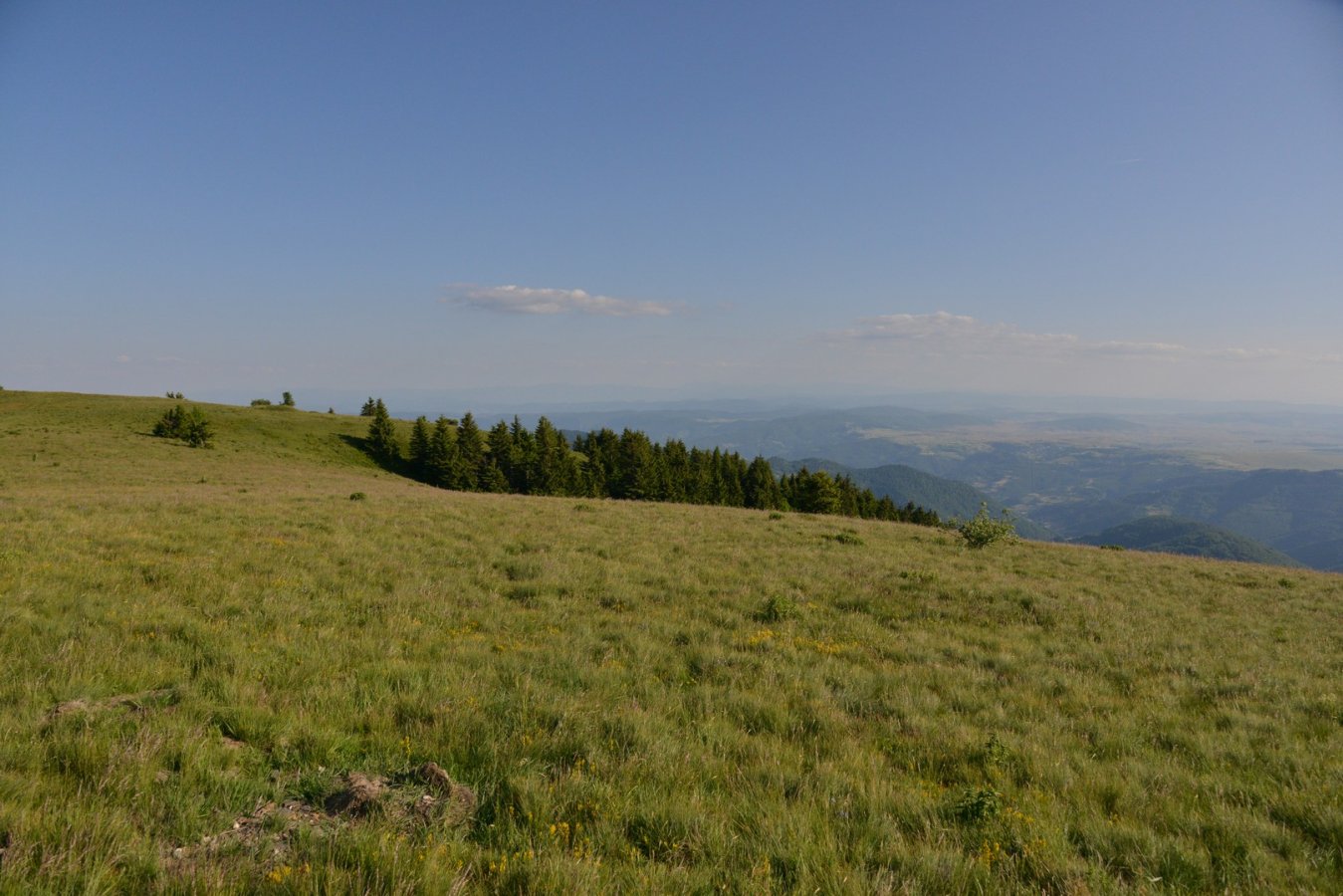 19.jpg