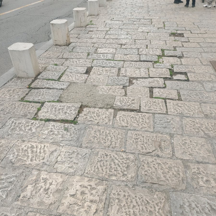 20250427_165256.jpg