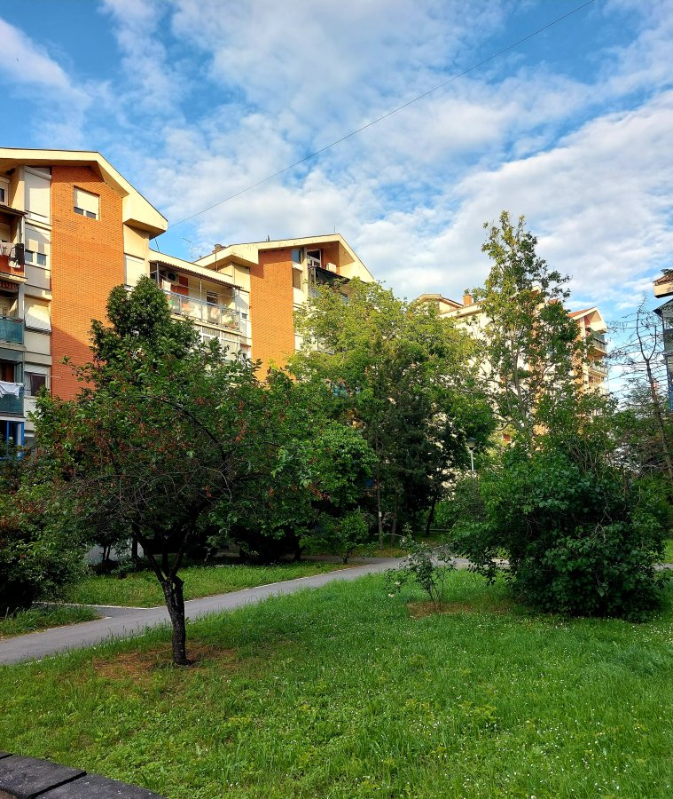 20250513_181000.jpg