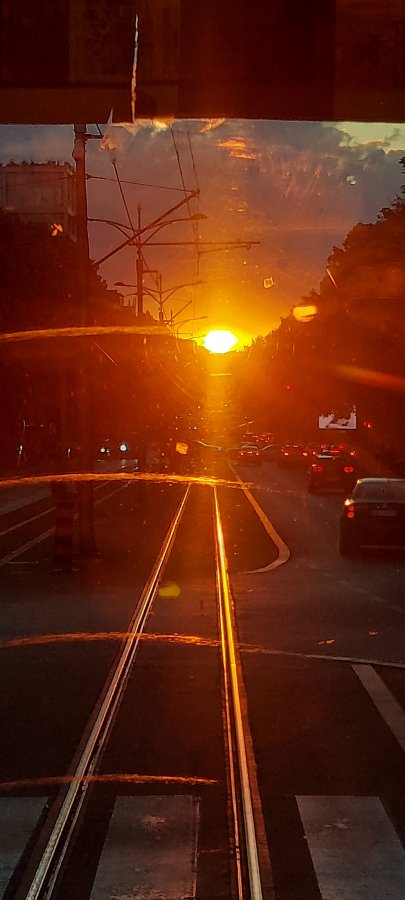 20250529_200333.jpg
