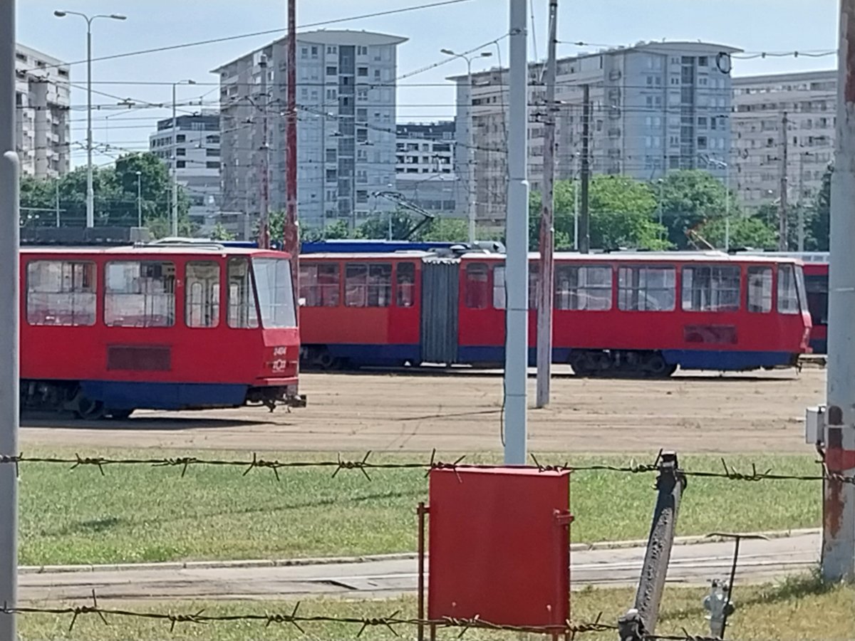 20250604_143407.jpg