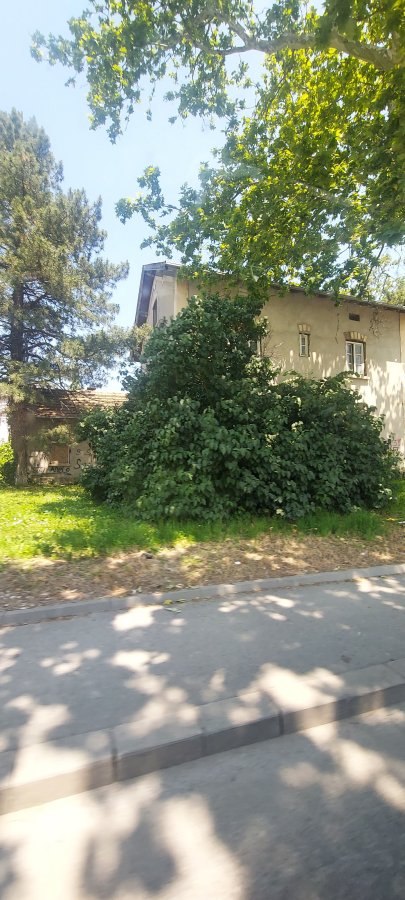 20250605_125534.jpg
