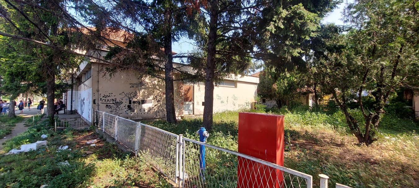 20250607_092900.jpg
