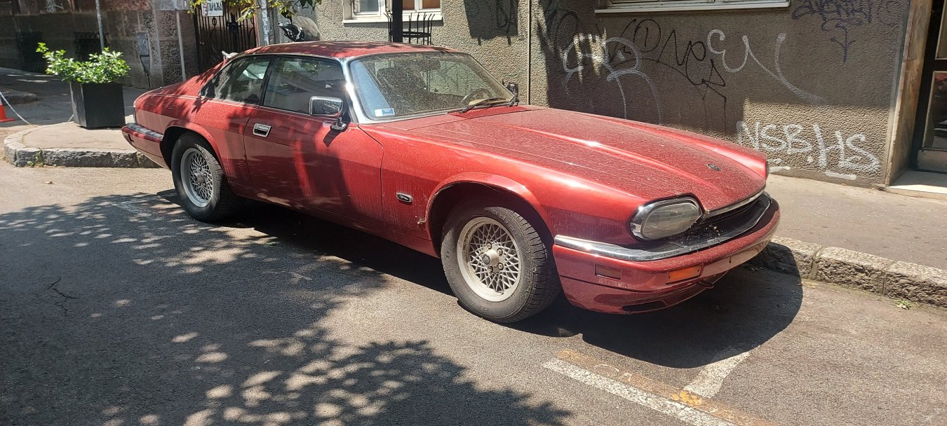 20250617_124129.jpg