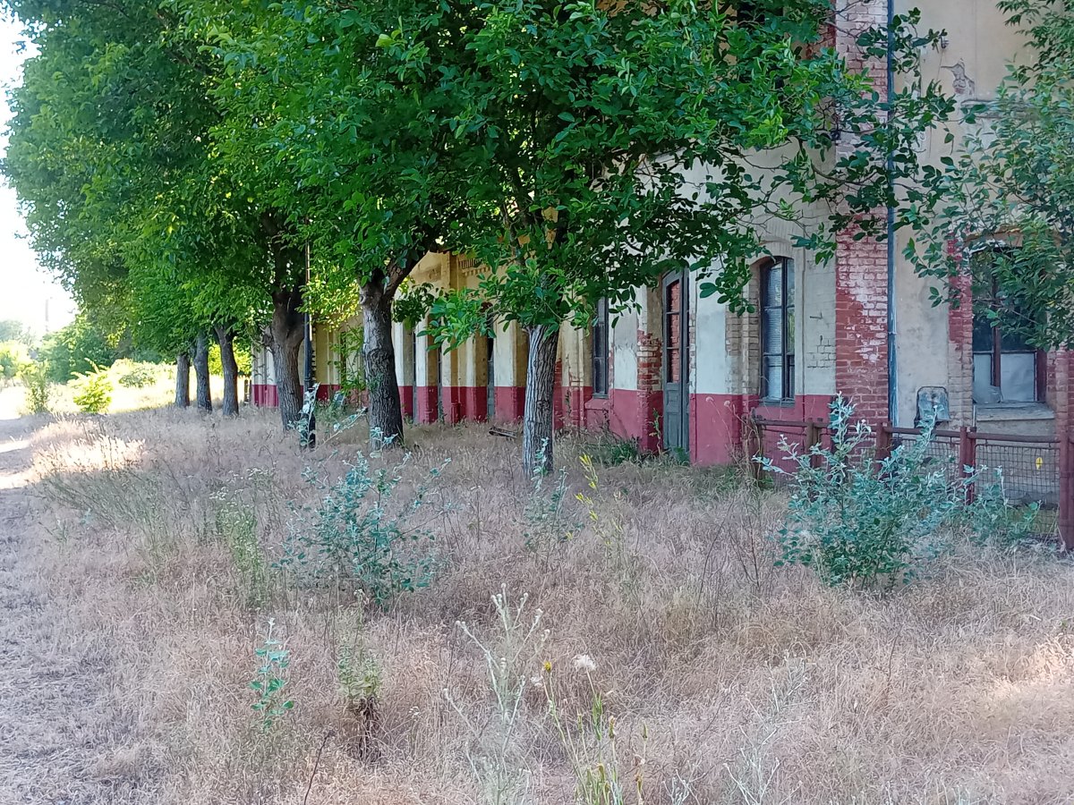 20250620_173335.jpg