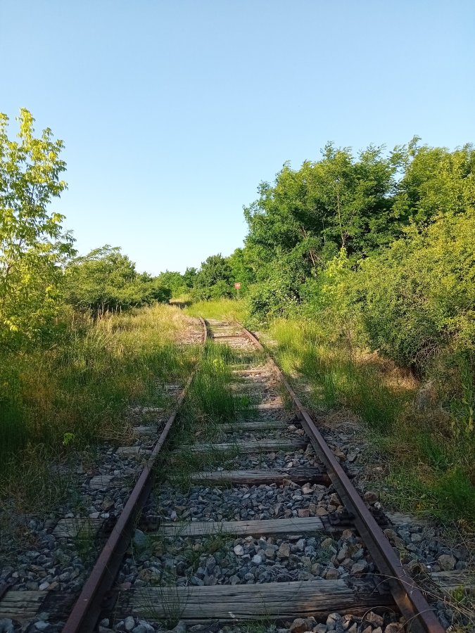 20250620_174621.jpg