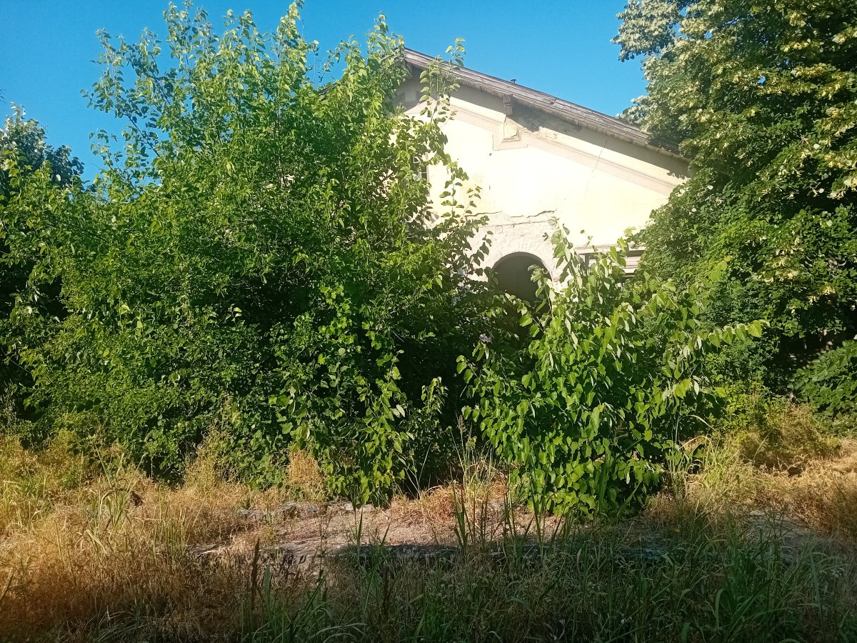 20250621_175145.jpg