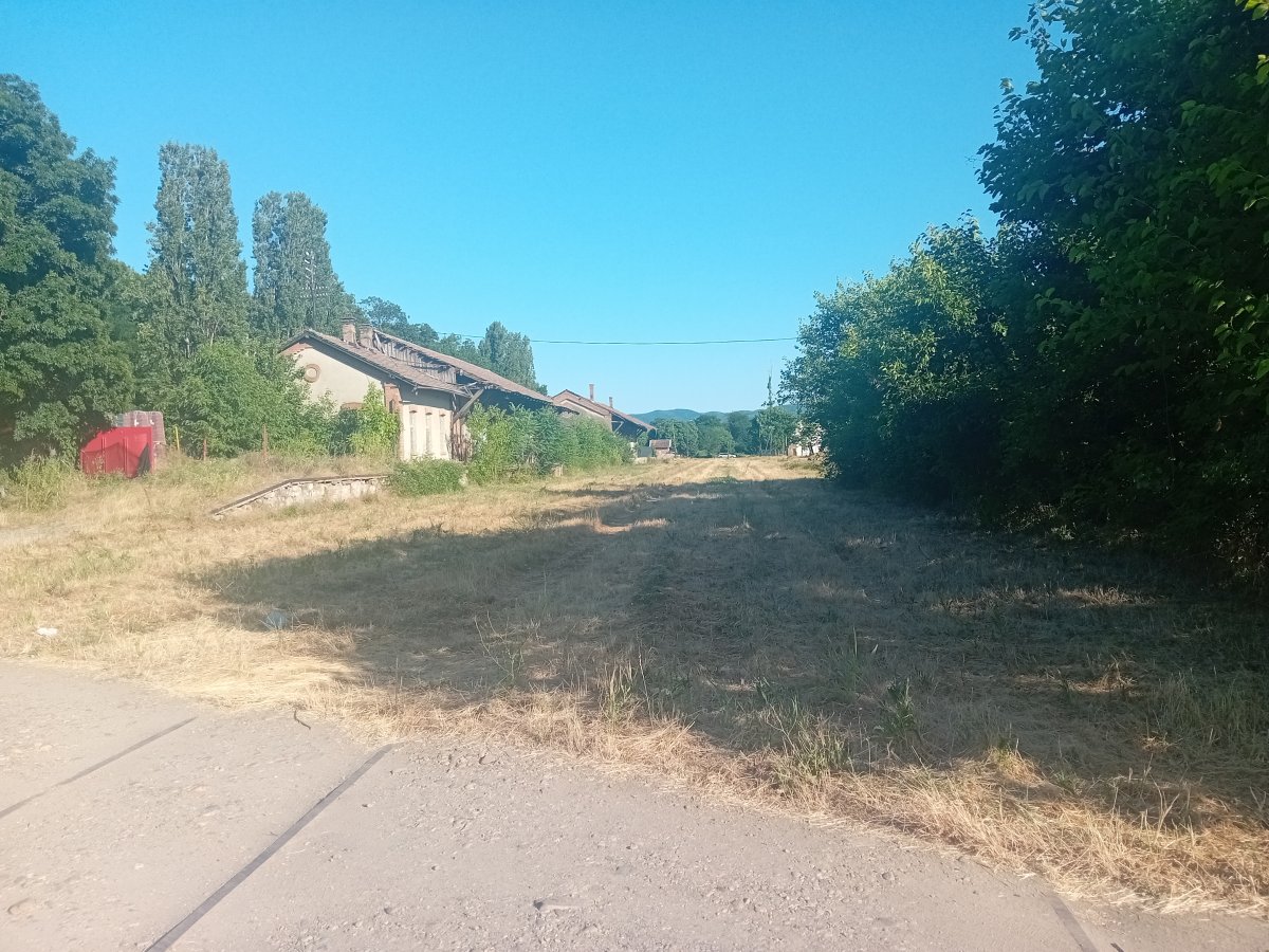20250621_175325.jpg