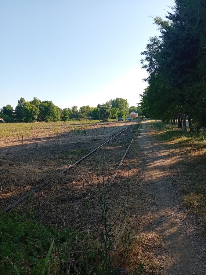 20250621_180830.jpg
