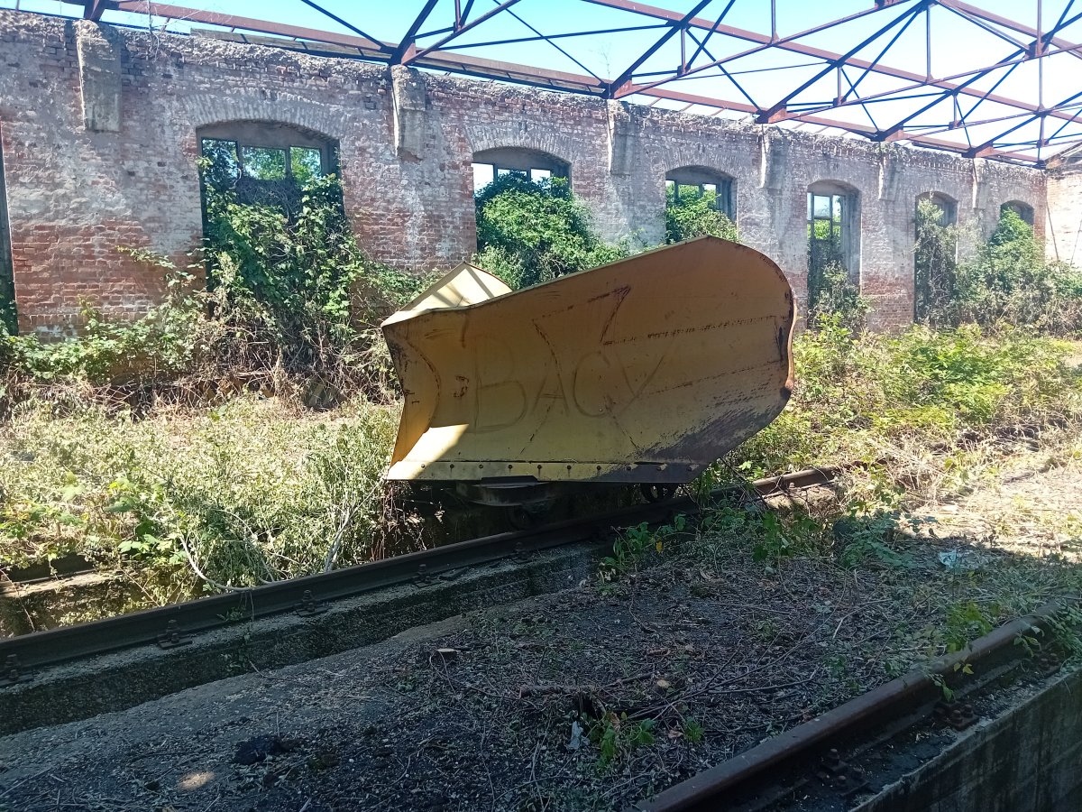 20250622_113530.jpg