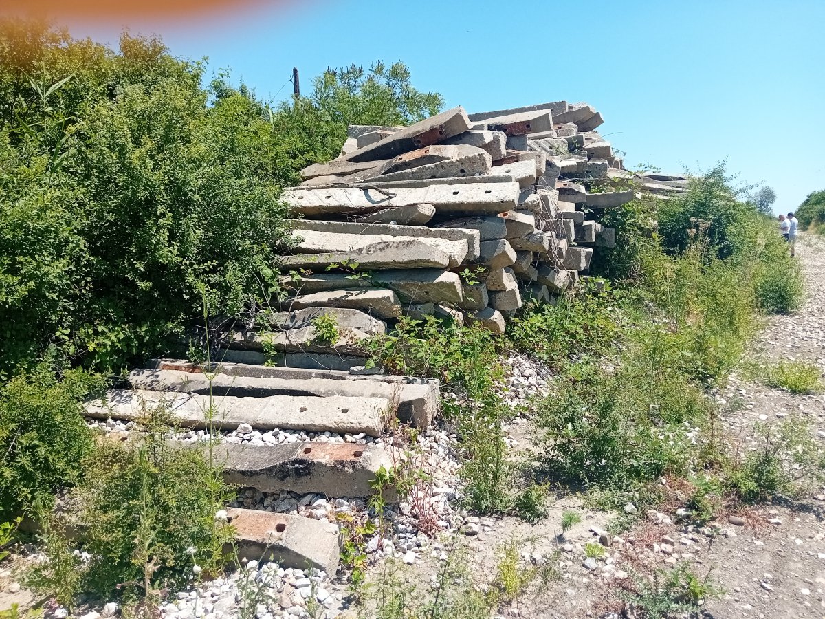 20250622_125909.jpg