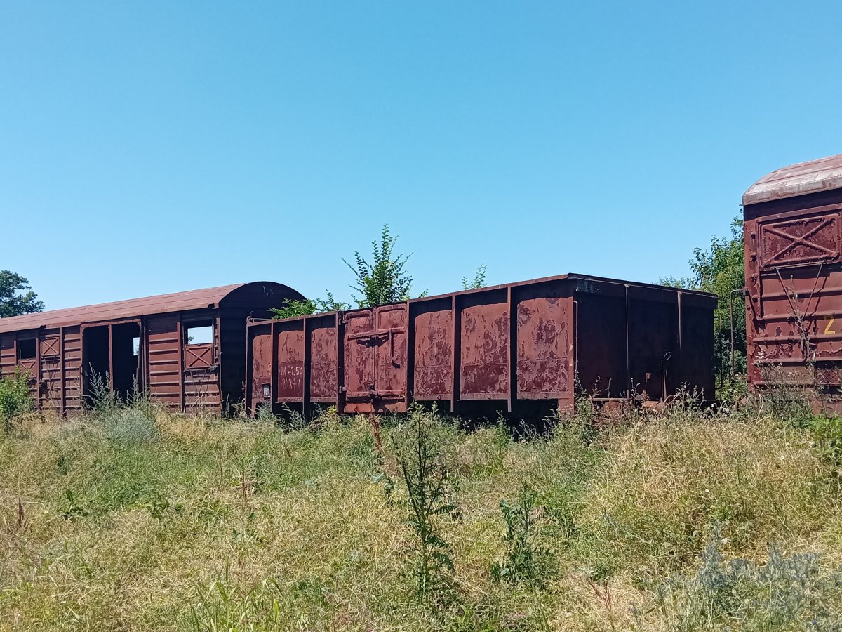 20250622_132100.jpg