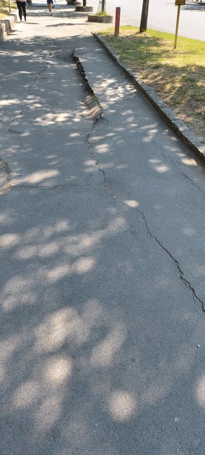 20250625_094027.jpg
