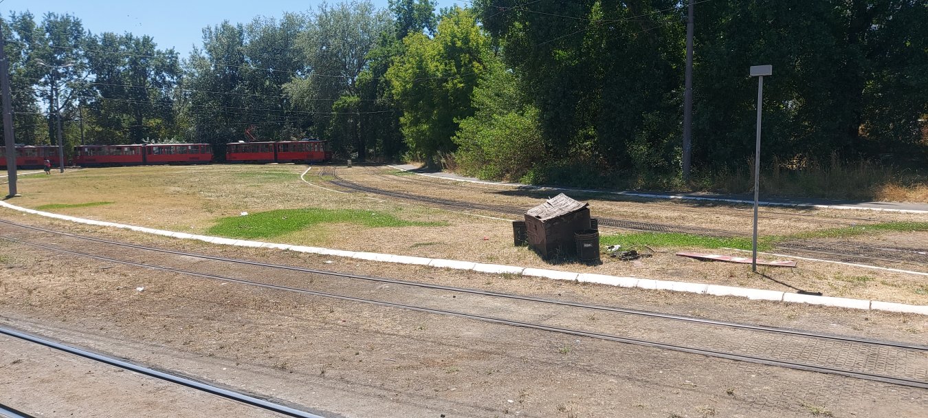 20250629_131340.jpg