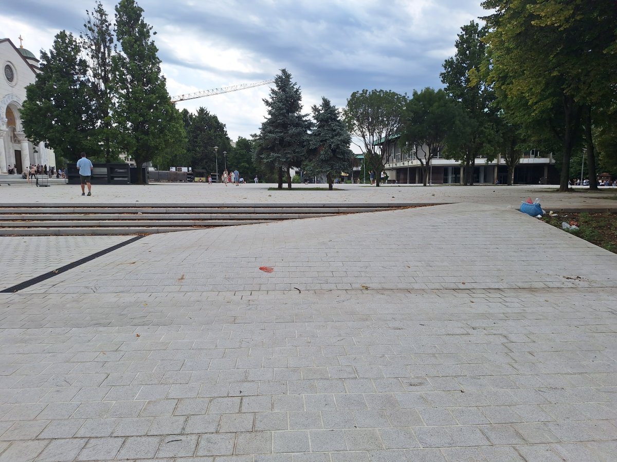 20250727_115055.jpg