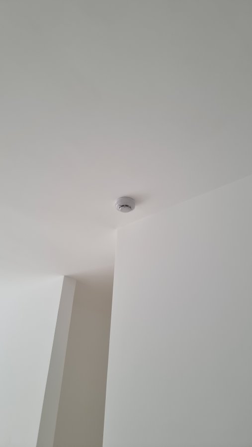 20250821_121916.jpg