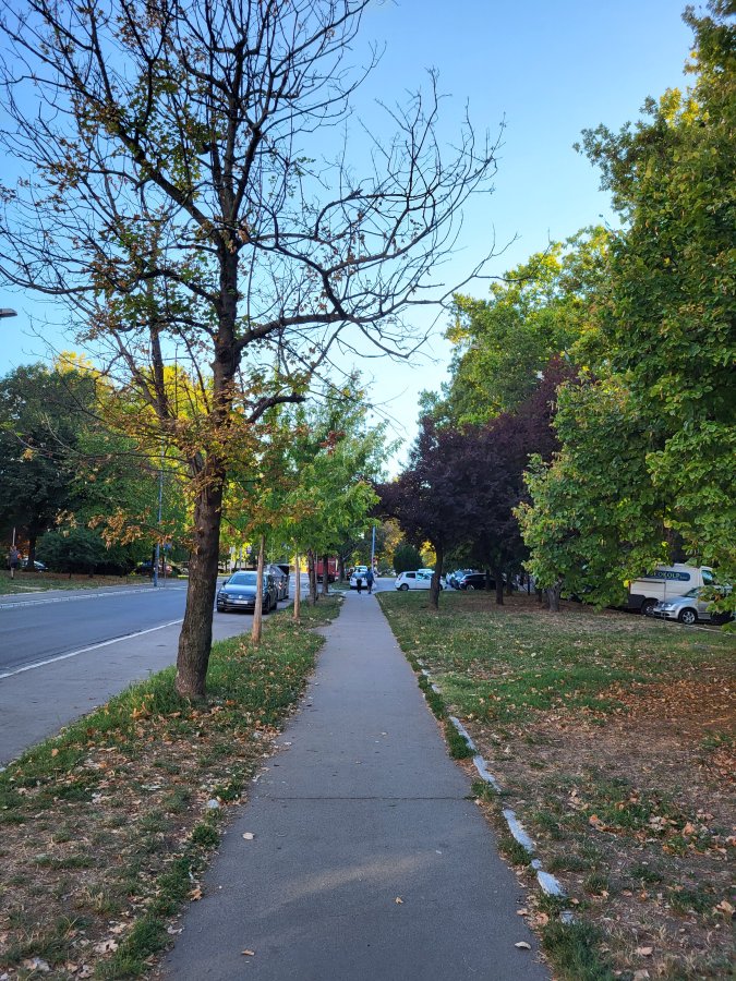 20250827_180043.jpg