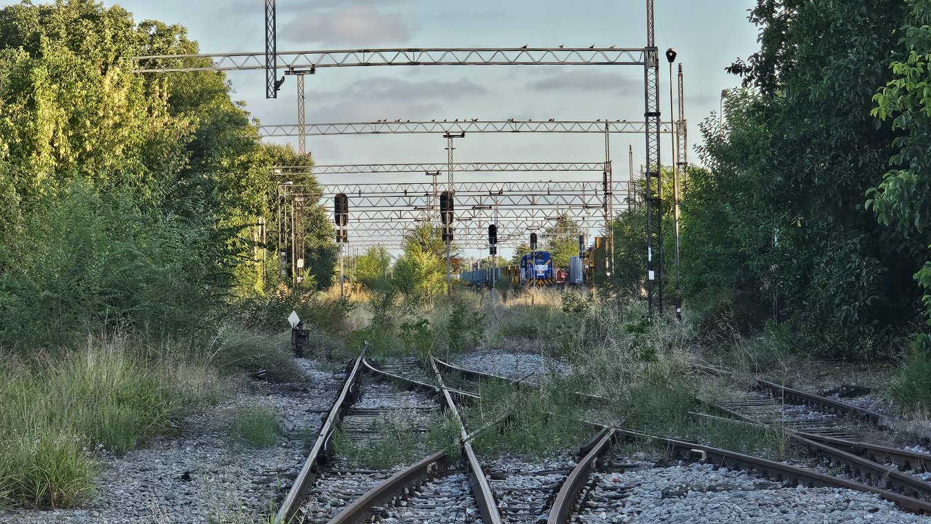 20250831_183502.jpg