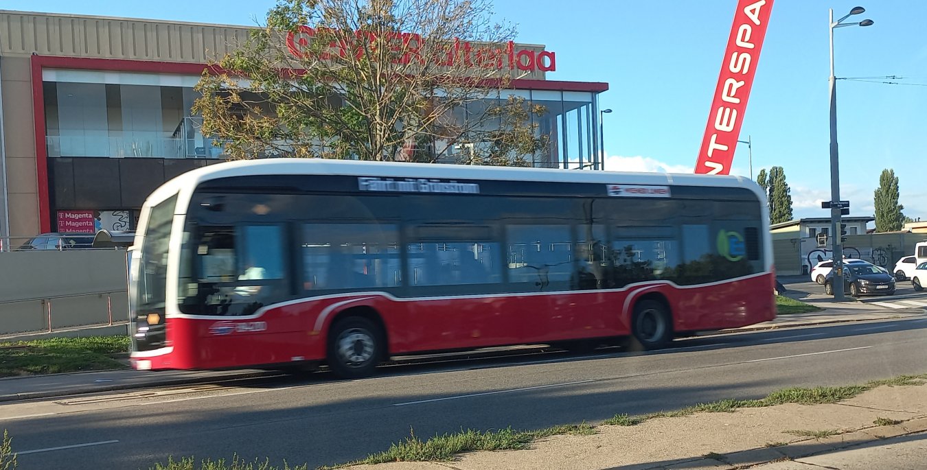 20250911_172354.jpg