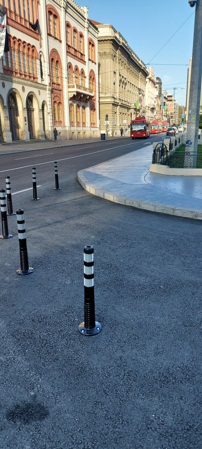 20251009_083730.jpg