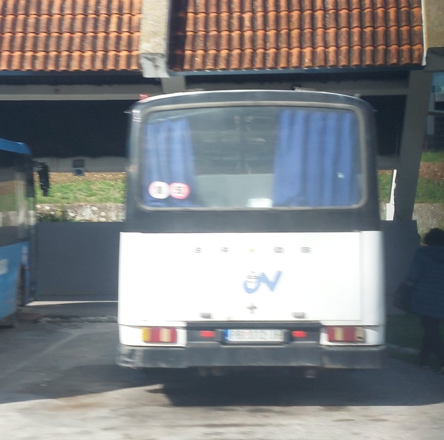 20251009_102840.jpg