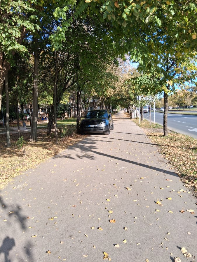 20251020_091334.jpg