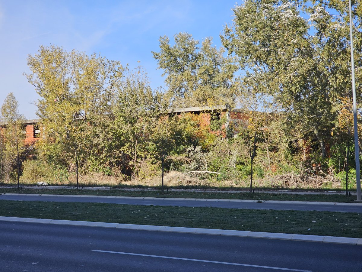 20251023_134205.jpg